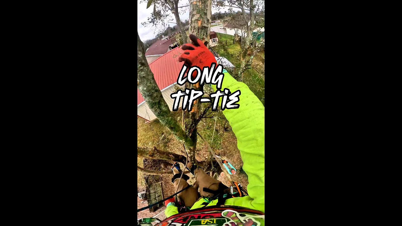 Tip-Tie in Action