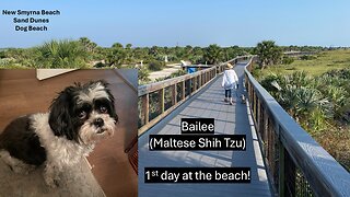 Bailee's 1st day at the beach!