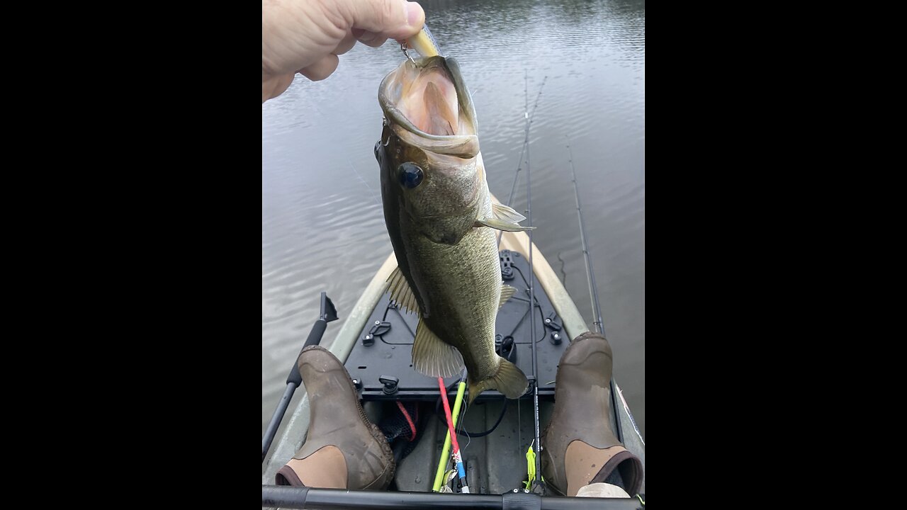 An Unusually cool day in early August - 3 bass video