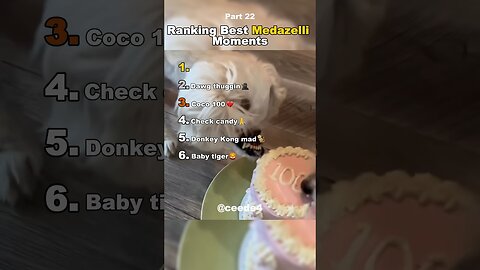Best Medazelli #ranking #medazelli #tiktok