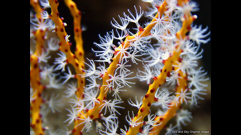 Attempted basic evaluation