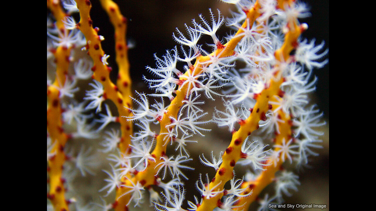 Attempted basic evaluation