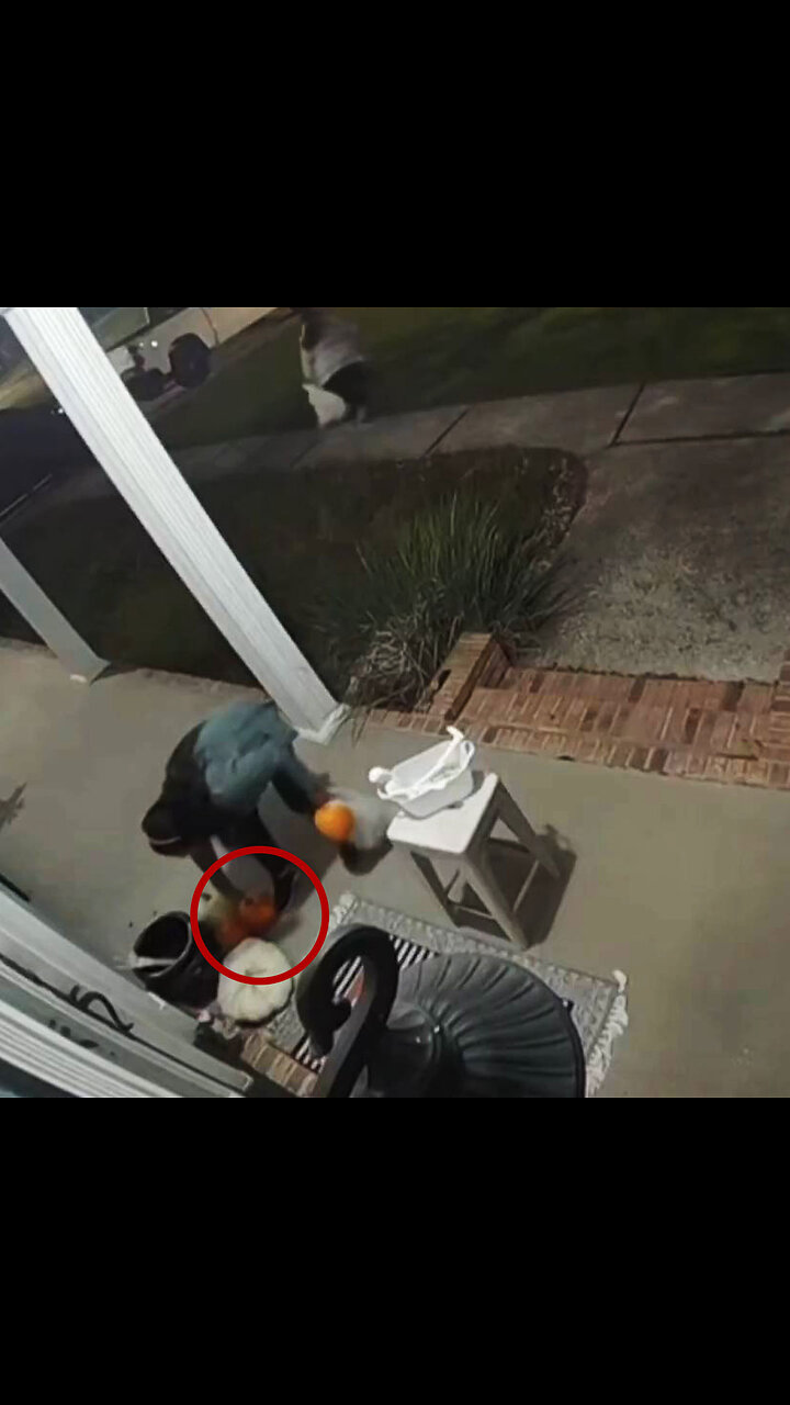 Robo insólito de dulces y calabazas durante Halloween