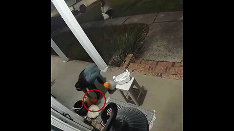 Robo insólito de dulces y calabazas durante Halloween