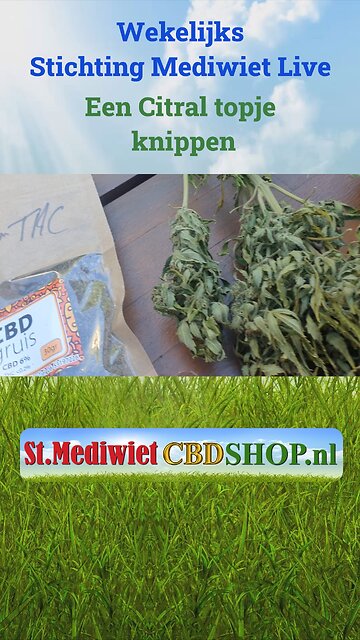 Een Citral-topje knippen