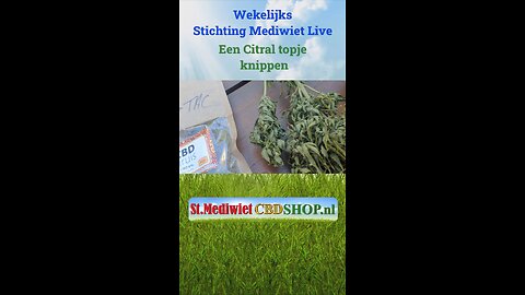 Een Citral-topje knippen