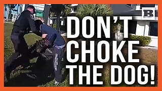 DON'T CHOKE THE DOG! Suspect Tased After CHOKING Police K-9