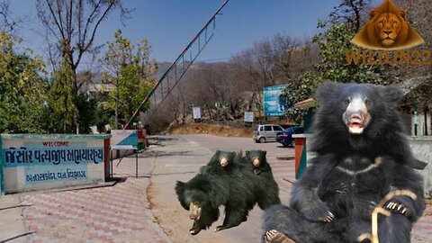 jessore sloth bear sanctuary | Oneday Trip Near Ahmedabad | Hindi Wildlife Travel Vlog 🐻