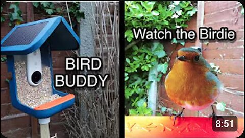 From Reluctant Twitcher to Bird Buddy Hero! 🐦🎥 | BIRD BUDDY Documentary Insight