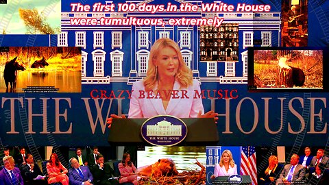 The First 100 Days in the White House . crazy beaver
