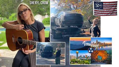 The Friday Vlog Sheryl Crow Says Armed Man Showed Up At Her Barn After Selling Her Tesla