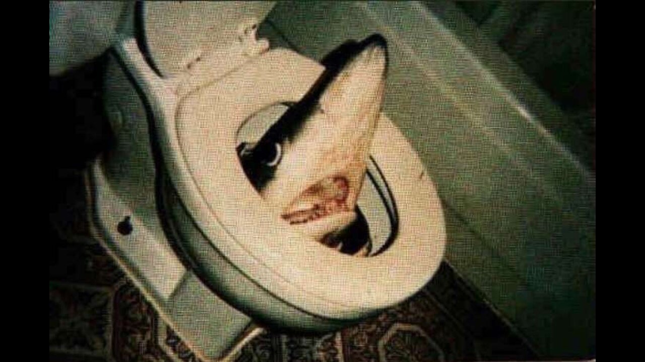 ((BITCHUTE-RUMBLE EXCLUSIVE SERIES))-OFFENSIVE MEMES- BEST OF 4CHAN GIFYLYL VOL-280