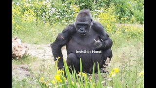 The Invisible Hand Controls The Economy Preview