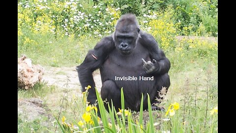 The Invisible Hand Controls The Economy Preview