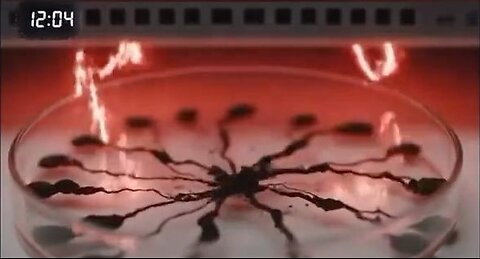 Watch What Happens When You Put Mold Under a WiFi Router for 24 Hours”