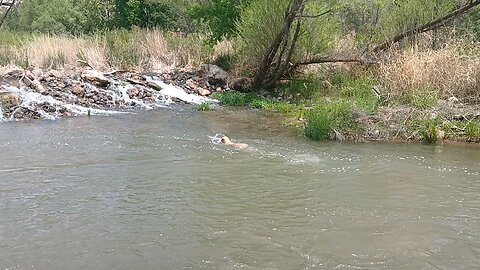 Playing Fetch With River