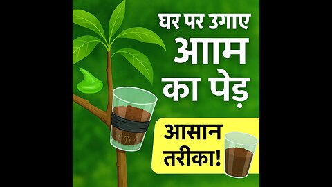 घर पर उगाएं आम का पेड़ – आसान तरीका! 🌱🥭