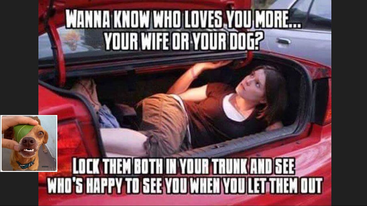 Memes That Will 99.0196% Make You Laugh. (e420)