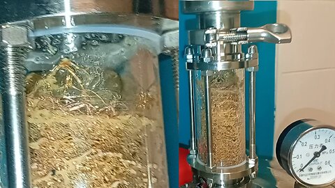 07, close up , ginger pubes in my sight glass,