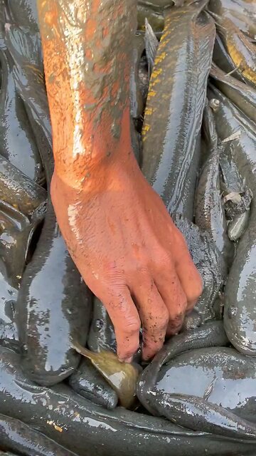 what a name in your cauntri?????