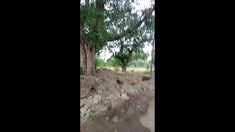 satisfying Video