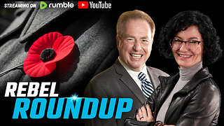 Ostrich massacre aftermath, Chief Justice backs poppy ban, Trillion for green energy | Rebel Roundup