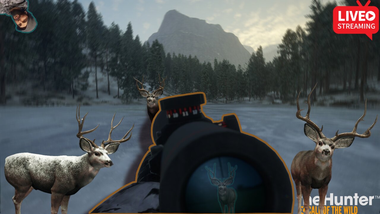 Mule Deer Grind..... Resumes NOW!!!! #cotw #hunting #gaming