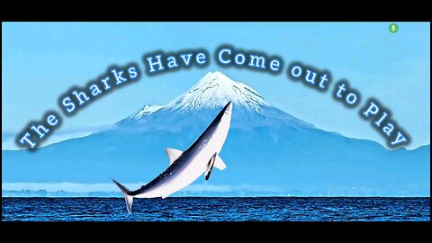 The Sharks Have Come Out To Play
