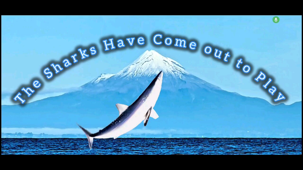 The Sharks Have Come Out To Play