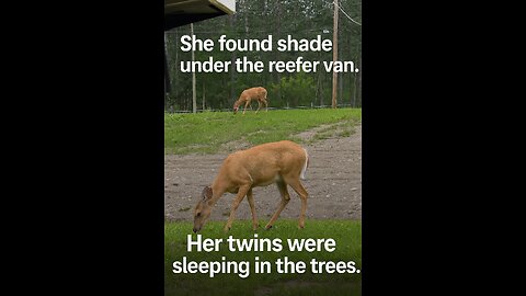 She Didn’t Run. She Watched.