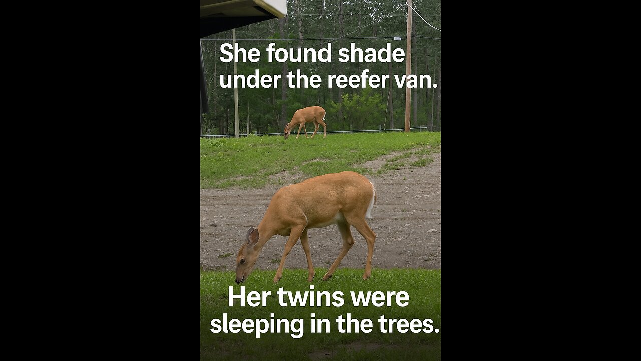 She Didn’t Run. She Watched.