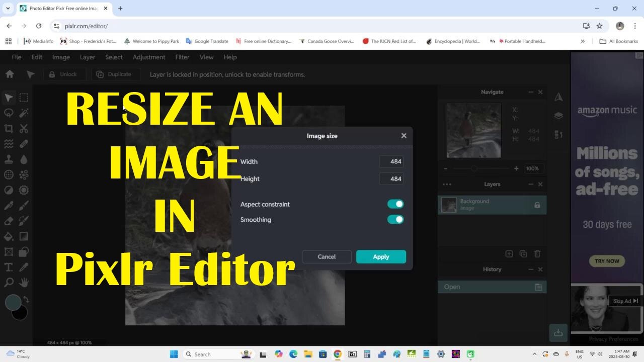 Resize an image in Pixlr Editor