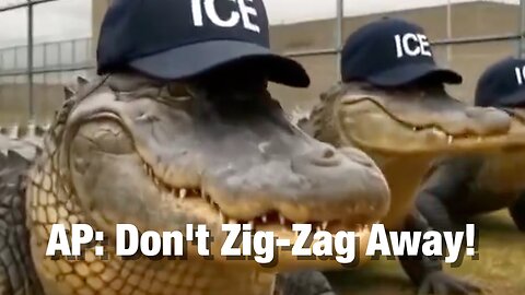 AP Fact-Checks Trump's Comments On Evading Alligators