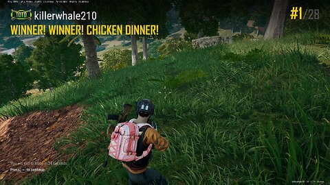 chicken dinner
