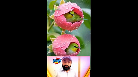 Today Raining