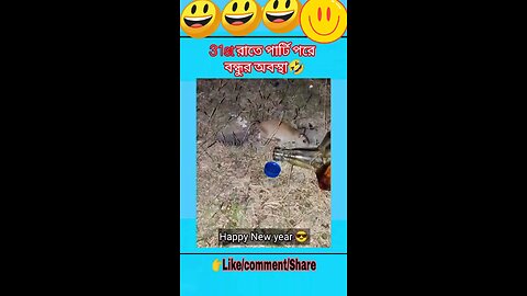 Best Fun Vidio