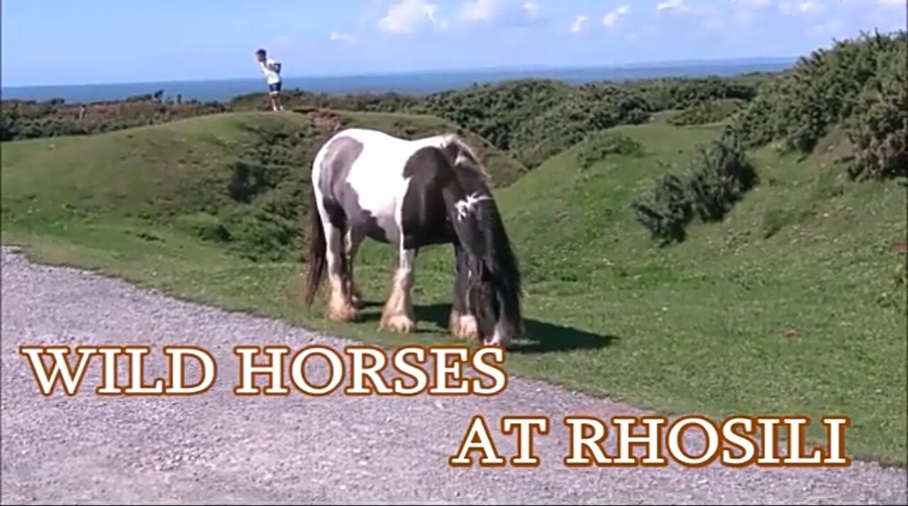 A BALANCED PRAYER - DAILY DEVOTIONAL ❤️