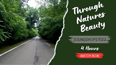 4 Hours of Relaxing Drive Through Nature's Beauty