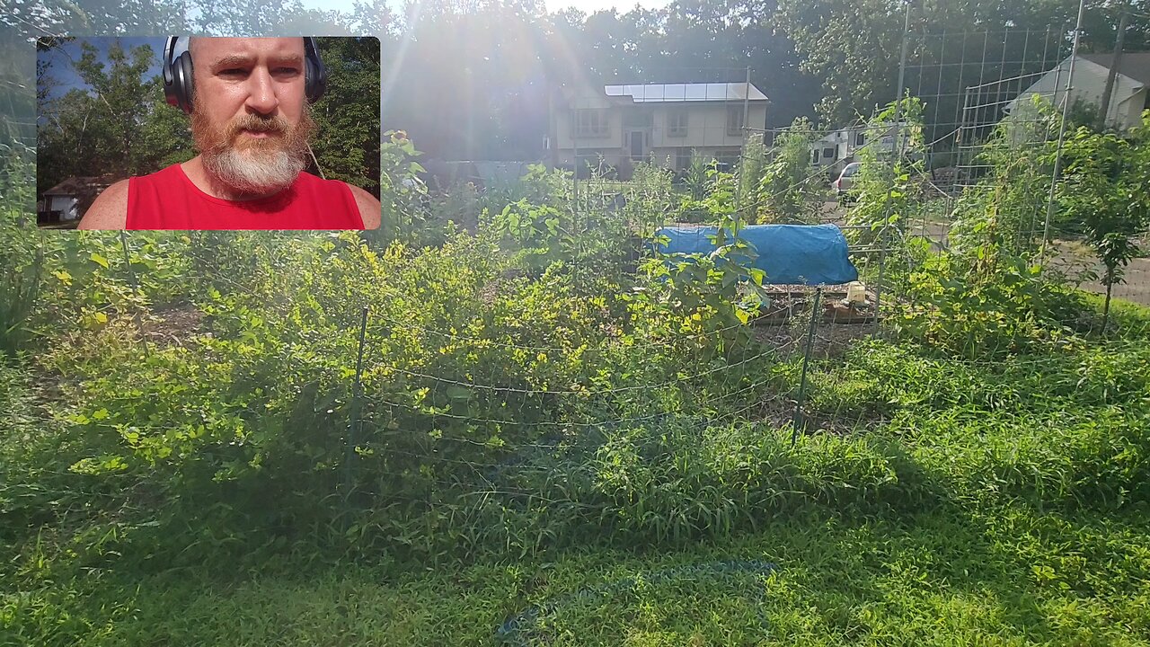 Summer Property Tour 2025