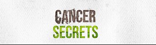 Black Seed Oil Pure - Well of Life Supplement Cancer Secrets