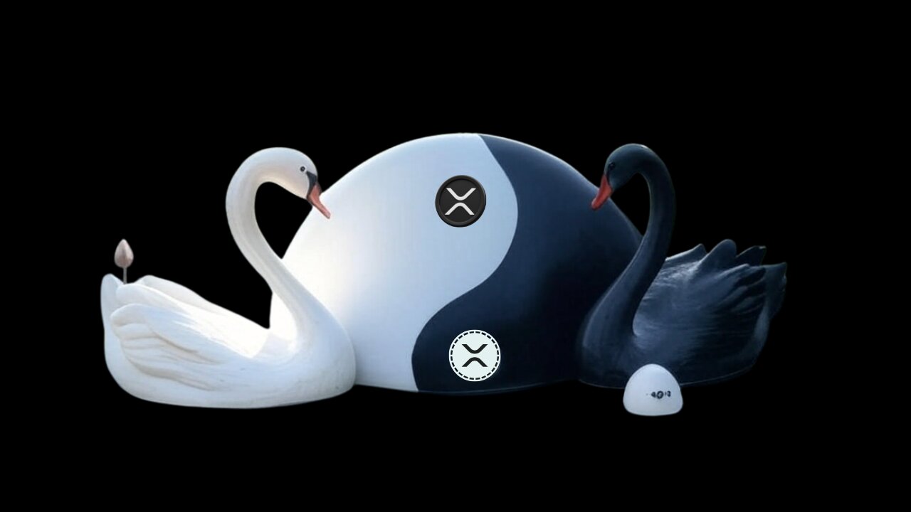 ARE WE READY? XRP & BTC: Is a BLACK SWAN Event Looming for Crypto? PLUS Trump's BTC Mining Venture?