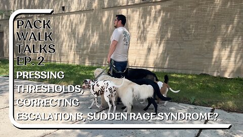 Pressing Thresholds, Corrections, Matching Intensity, Sudden Rage Syndrome? Pack Walk Talks Ep. 1