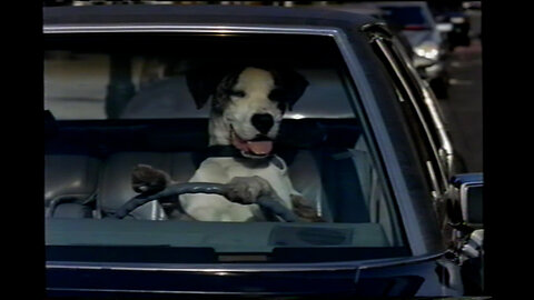 May 22, 2003 - A Cellphone That Can Take and Send Photos