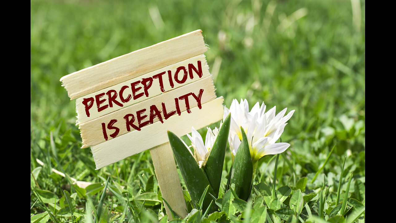 Cognitive Self-Defense against Perceptual Hijack – Video #195