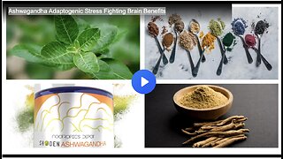 Ashwagandha Adaptogenic Stress Fighting Brain Benefits