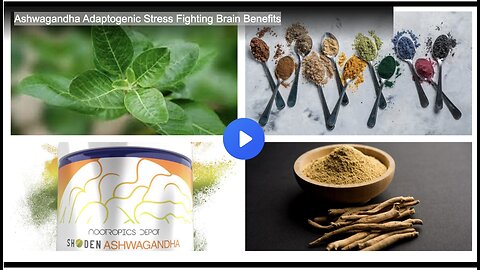 Ashwagandha Adaptogenic Stress Fighting Brain Benefits