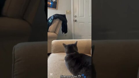 The Cutest Comedy Routine You’ll See Today!