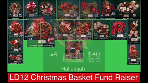 LD12 Christmas Fund Raiser