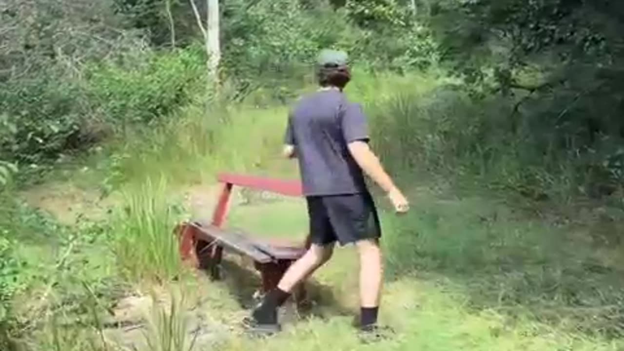 when a bear is chasing you