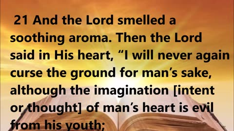 God Who Made a Covenant with Creation